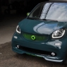 SMART FORTWO GREEN HELL